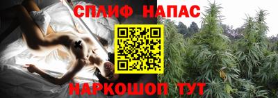 хмурый Пенза