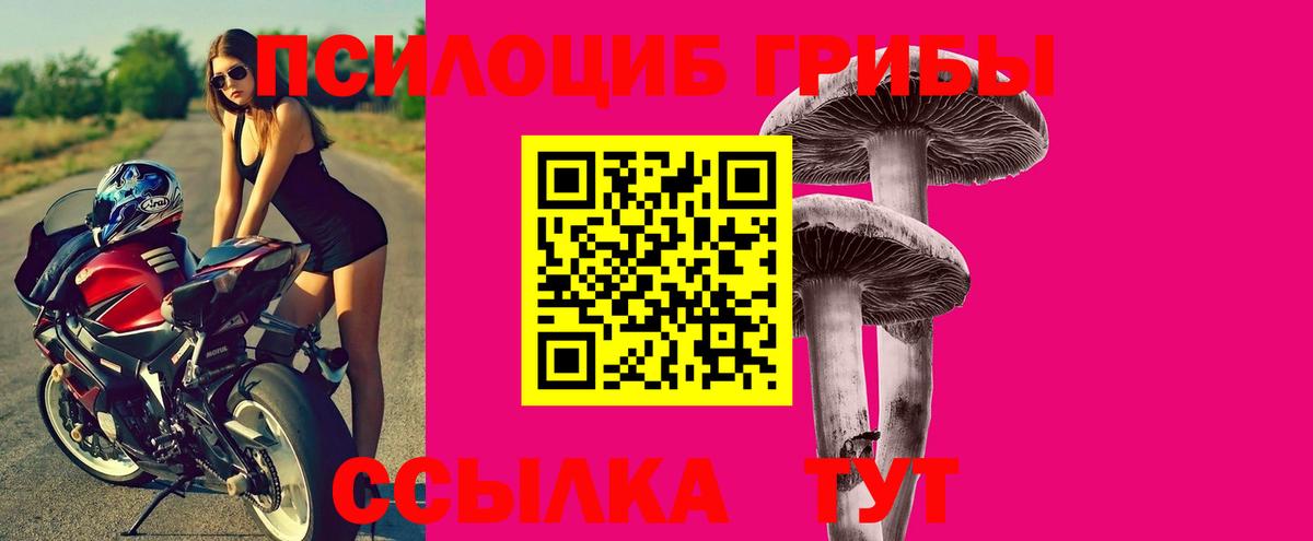 хочу   Псилоцибиновые грибы мухоморы  Вход с VPN  Ногинск 