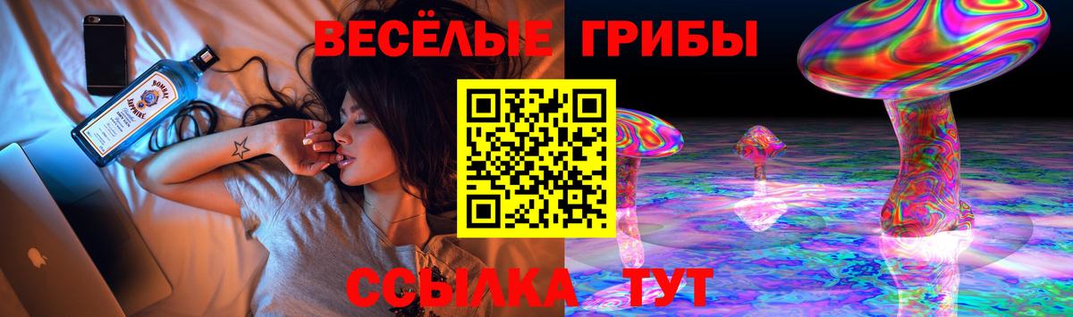 Псилоцибиновые грибы GOLDEN TEACHER Ногинск